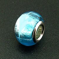 Charm Bead with Silver Plated Lining