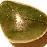 Nephrite Jade (Canada) Ex Large Pendant