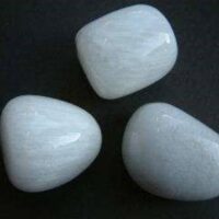 Scolacite Polished Stone. 3-4cm