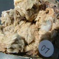 Barytes and Quartz Specimen