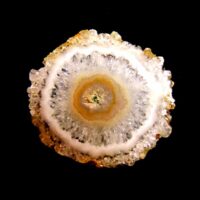 Uraguayan Amethyst Flower Slice Specimen