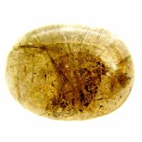 Dome Polished Rutilated Smokey Quartz Pebble