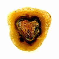 Amethyst Stalactitic Polished Face Crystal Specimen