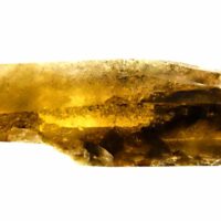 Natural Smokey Quartz Laser Point Specimen