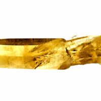 Natural Smokey Quartz Laser Point Specimen