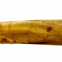 Natural Smokey Quartz Laser Point Specimen