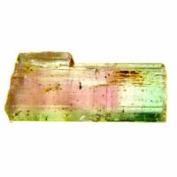 Bi-Coloured Tourmaline Crystal Specimen