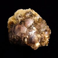 Botryoidal Lepidolite Raw Crystal Specimen