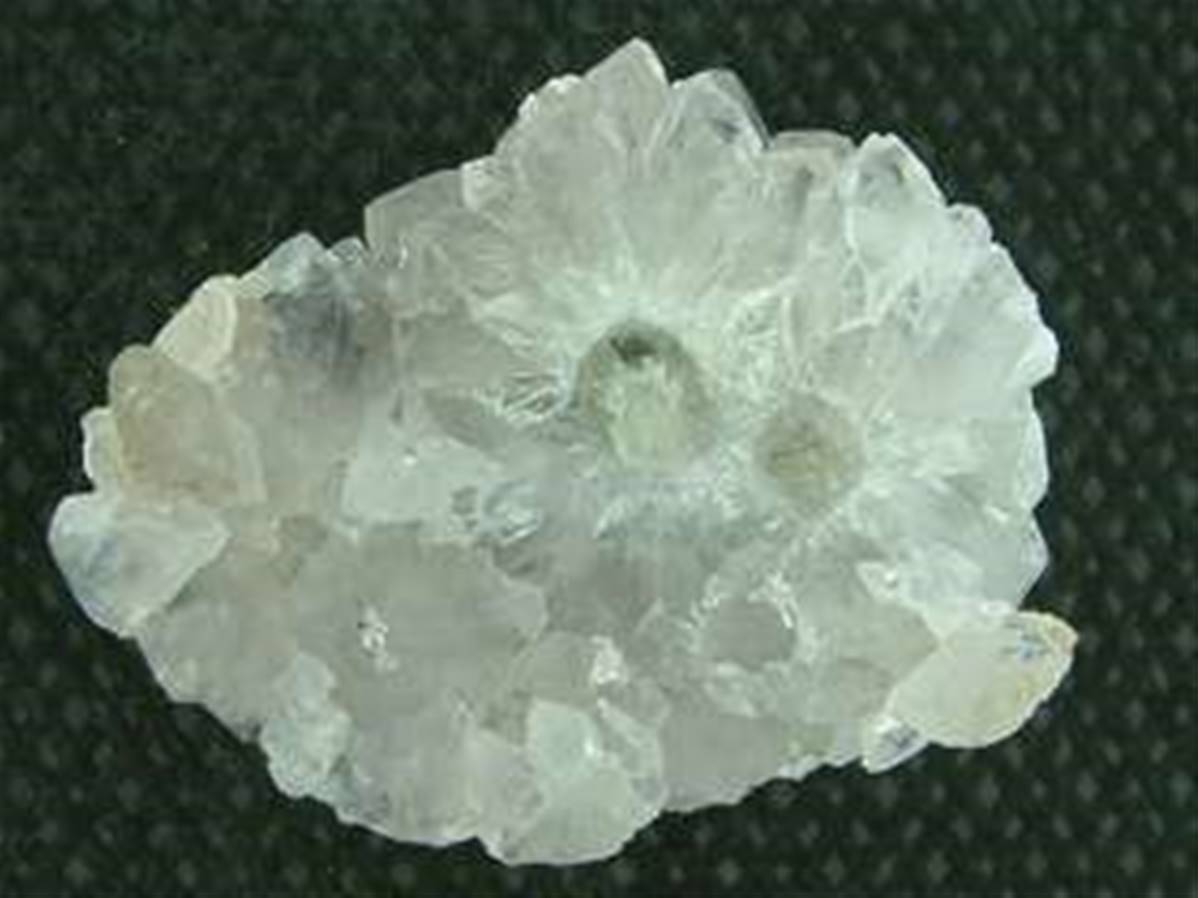 SP1040x1200-1.jpg