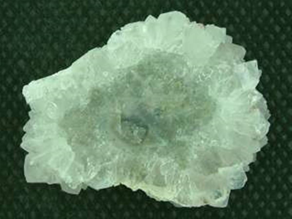 SP1041x1200-1.jpg