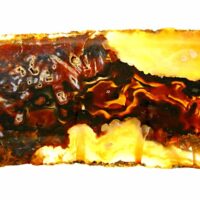 Agatized Jasper Polished Slice Specimen