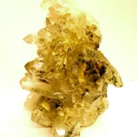 Smokey Quartz Chlorite Phantom Cluster Specimen