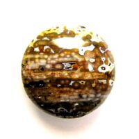 Orbicular Jasper Polished Pebble/Palmstone