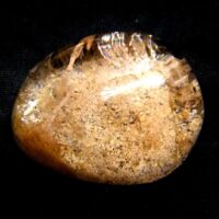 Quartz Dome Polished Pebble Specimen