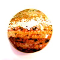 Orbicular Jasper Polished Pebble/Palmstone
