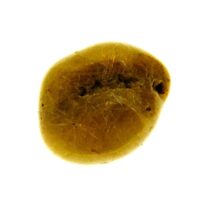 Quartz Polished Pebble Specimen