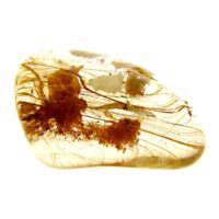 Quartz Polished Pebble Specimen