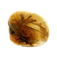 Quartz Dome Polished Pebble Specimen Featuring Golden Rutile Inclusions