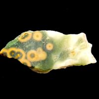 Orbicular Jasper Slice Specimen