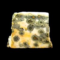 Orbicular Jasper Slice Specimen