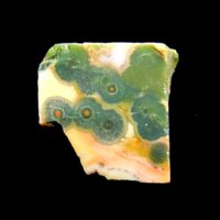 Orbicular Jasper Slice Specimen
