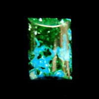 Malacolla Dome Polished Rectangular Cabochon