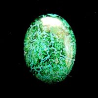 Malacolla Dome Polished Oval Cabochon