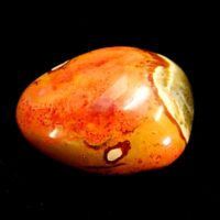 Polychrome Jasper Polished Pebble Specimen
