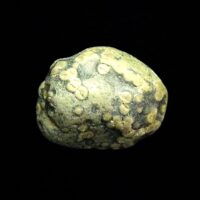 Pumpellyite with Prehnite Pebble Specimen