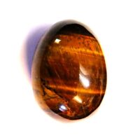 Tigerseye Egg