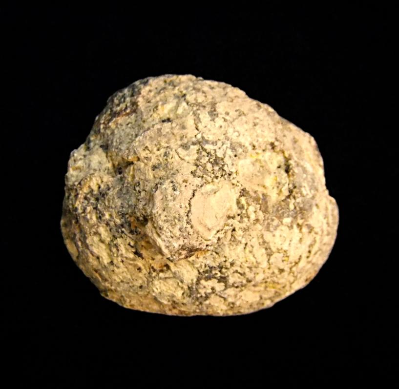 SP12158POLB-zoom-1.jpg