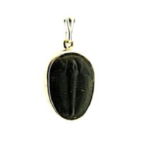 925 Silver Designer Pendant Featuring Trilobite Fossil