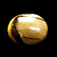 Septaria Polished Palmstone