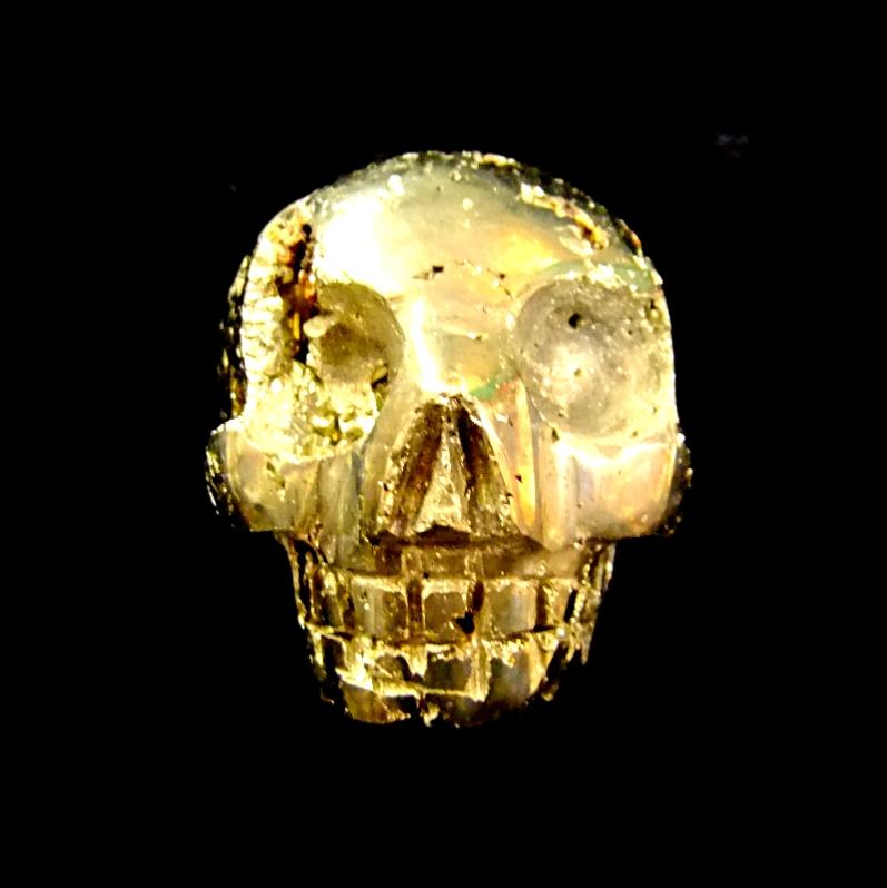 SP12945POL-zoom-1.jpg