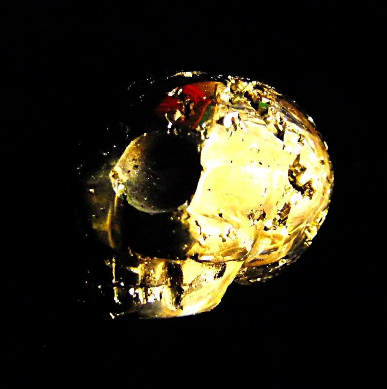 SP12945POLA-zoom-1.jpg