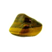 Tigerseye Polished Nodule Specimen