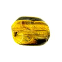 Tigerseye Polished Nodule Specimen
