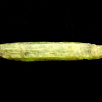 Green Kyanite Crystal Blade