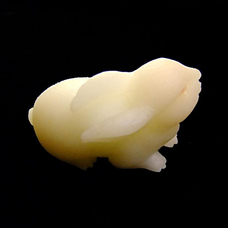SP13284POLB-zoom-1.jpg