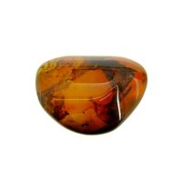 Carnelian Polished Pebble/Free Form Specimen