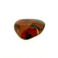 Carnelian Polished Pebble/Free Form Specimen