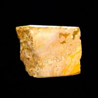 Orbicular Jasper Part Polished Nodule Specimen