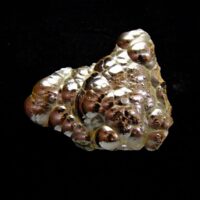 Botryoidal Hematite Raw Crystal Specimen