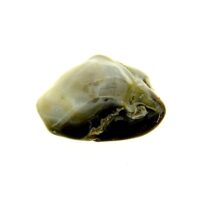 Fire Agate Polished Pebble Specimen