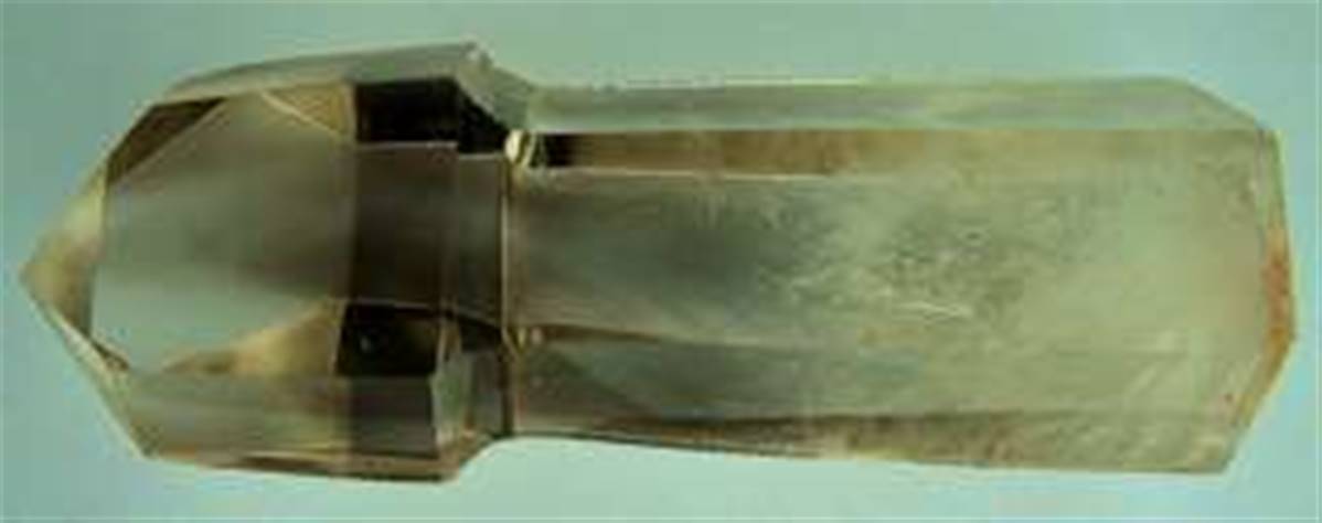 SP1365POLx1200-1.jpg