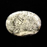 Gemstone Palmstone in Pinolith