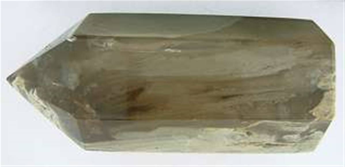 SP1387POLx1200-1.jpg