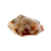 Shamanic Amphibole Polished Pebble Specimen