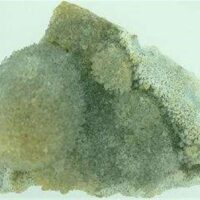 Stalagtitic Citrine Cluster Specimen 90 x 70 x 39mm Aprox. 160g