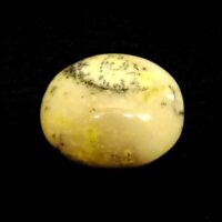 Dendritic Agate Polished Palmstone